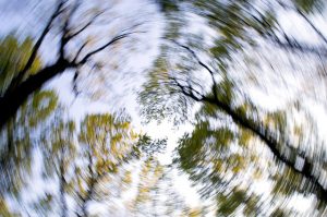 更年期障害によるめまい