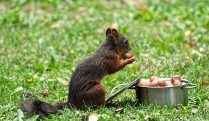 よく噛んで食べる